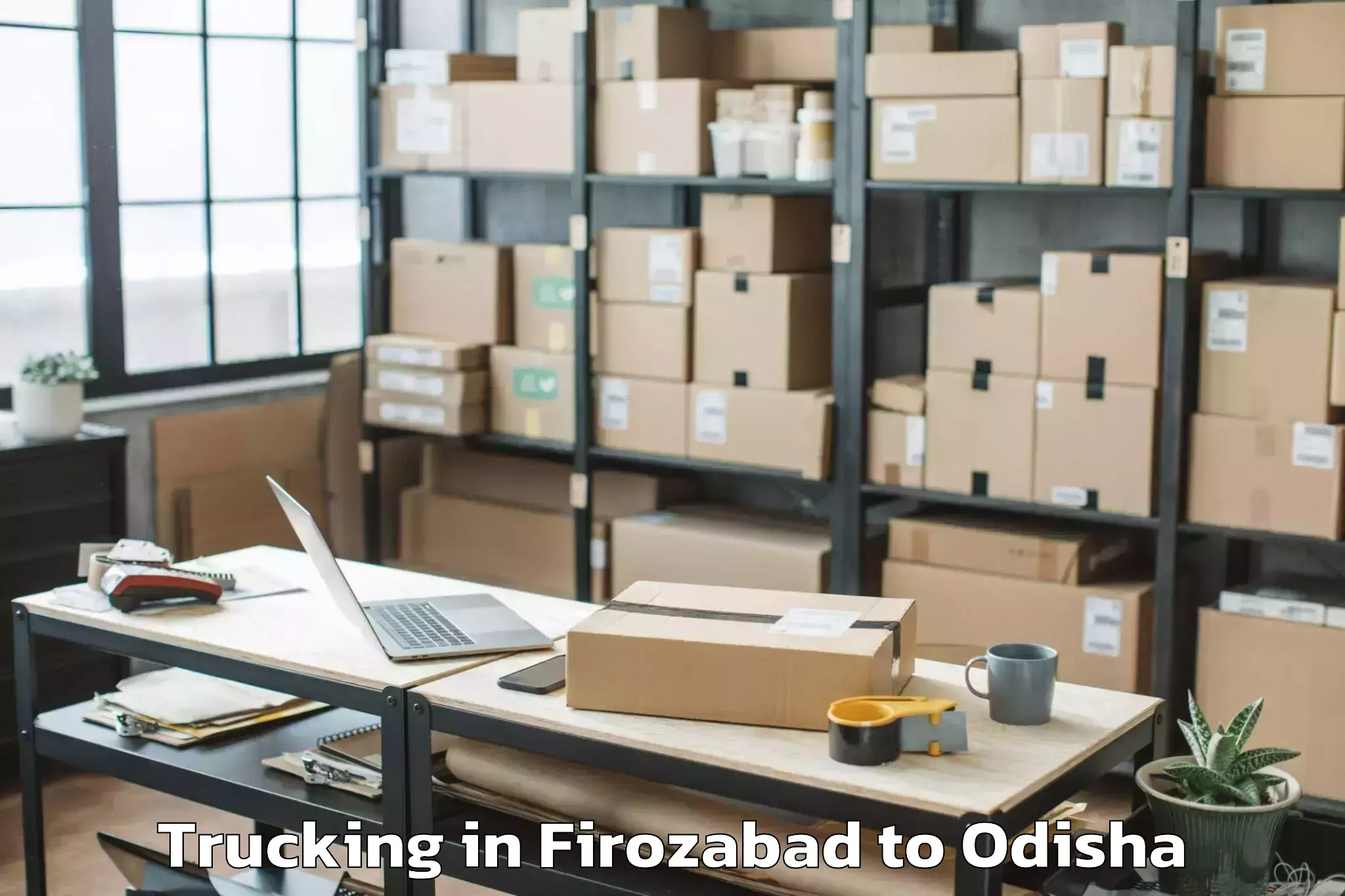 Top Firozabad to Mudulipada Trucking Available